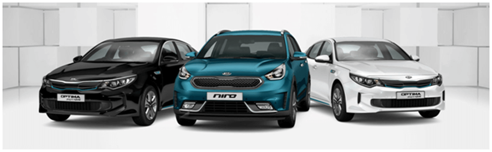 Тотальна гібридизація: хто у тренді? (3)