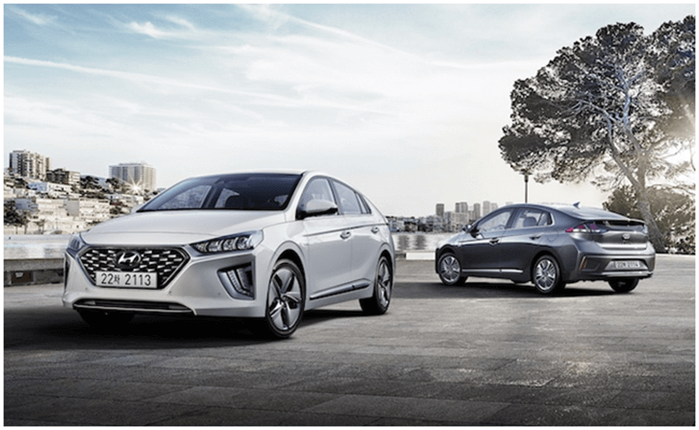 Найсвіжіші серед гібридів -4